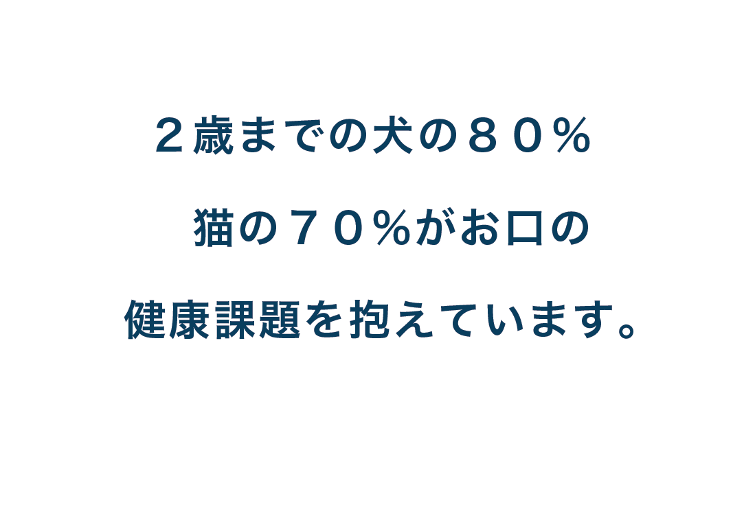 ３歳以上の犬の８０％は歯周病